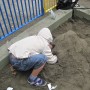 新型インフルエンザのため自粛の今日