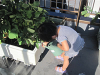 枝豆くんに丁寧に水やり