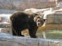 遊園地のある動物園に行こう！