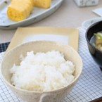 美味しいご飯