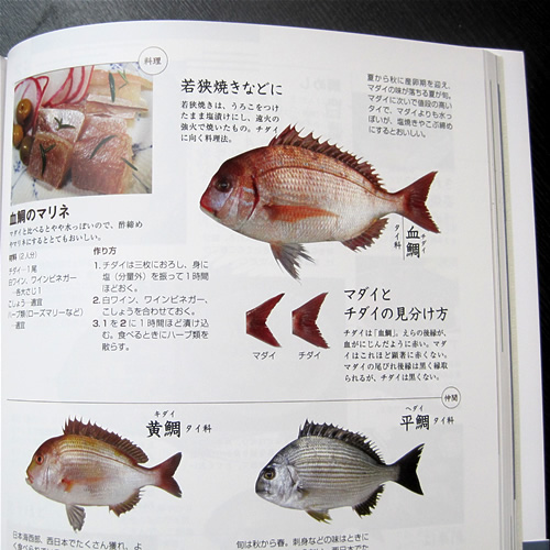 血鯛のページ（からだにおいしい　魚の便利帳）