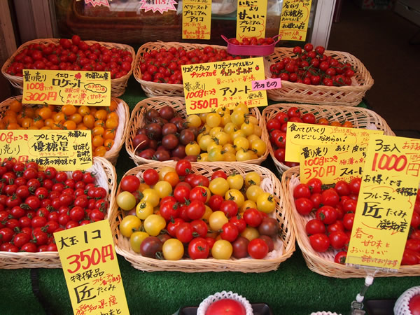 多種類のトマトたち