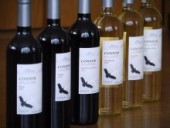 ワイン飲み比べ、肴と食べ比べ