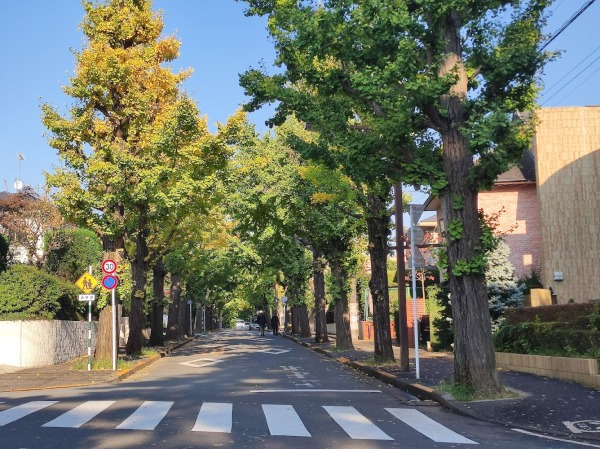 田園調布